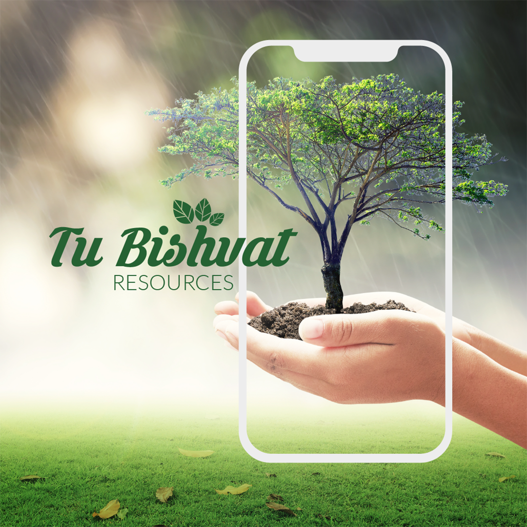 Tu Bishvat Guide