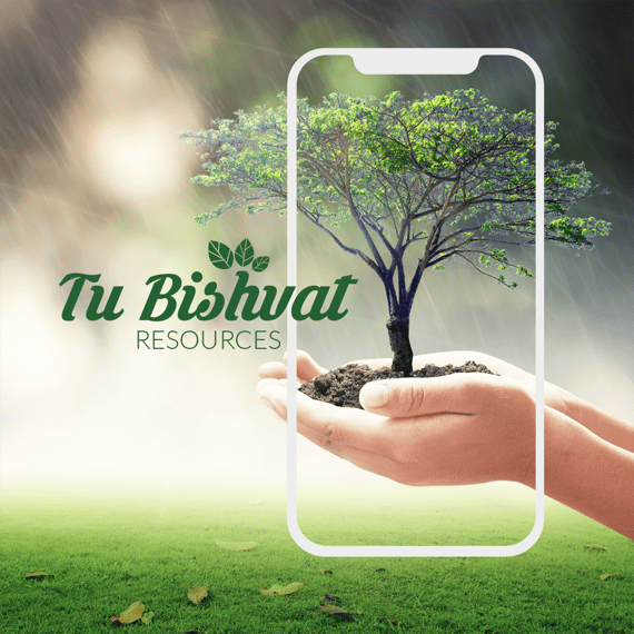 tubishvat_English